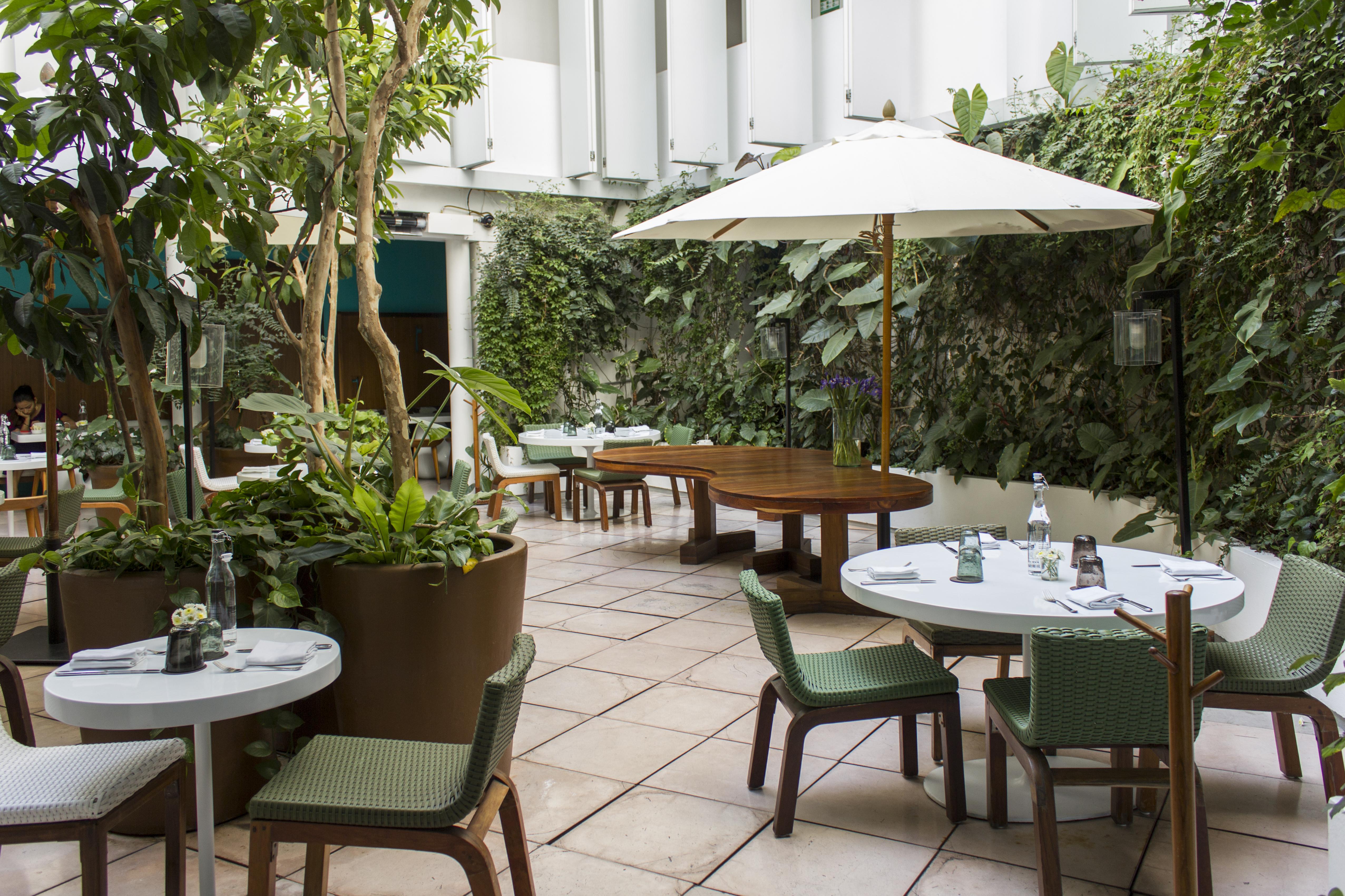 Condesa Df, Mexico City, A Member Of Design Hotels Luaran gambar